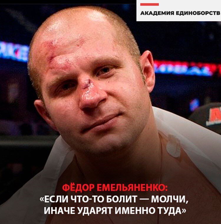 Сколько поражений у федора емельяненко