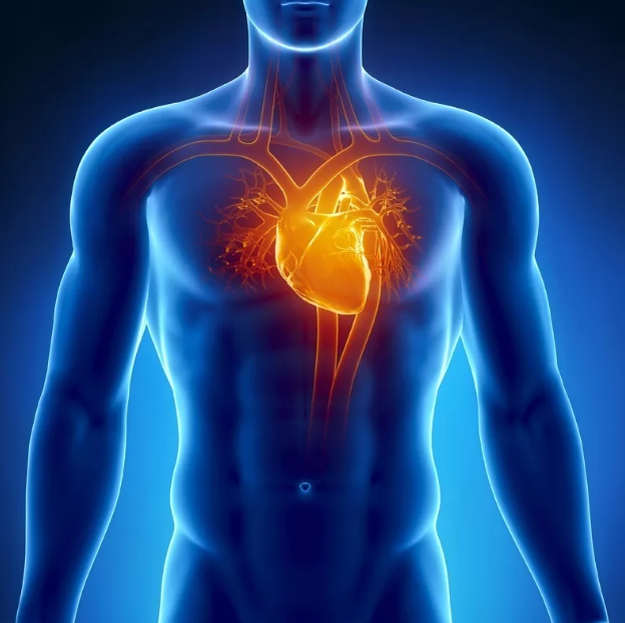 фото Яндекса