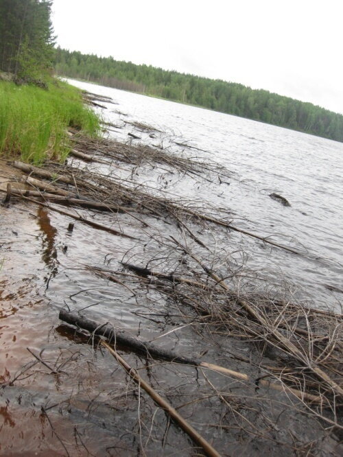 Осушение болот. Осушение заболоченных мест мелиорация. Осушение болот в верховьях рек. Осушение болота Новокузнецке.