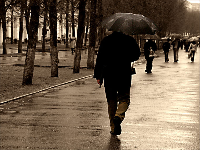 Из открытых источников