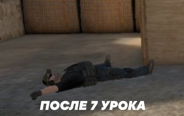 жиза)
