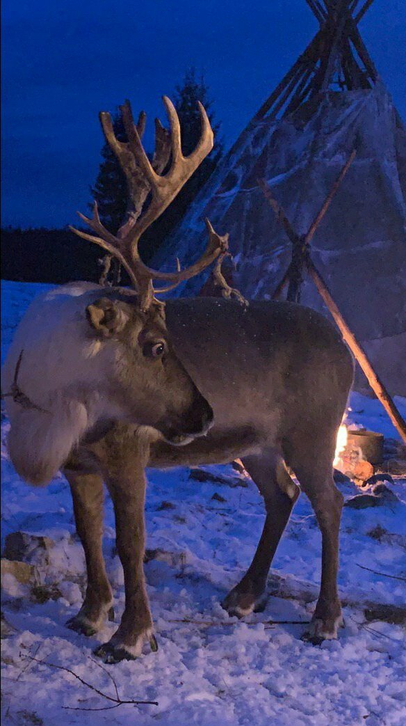 Вот такая красота снималась в одной из сцен.