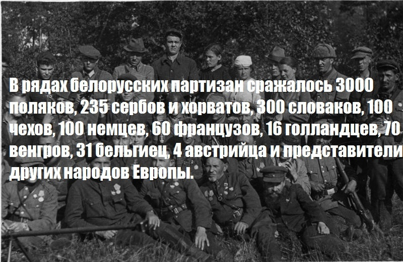 Семь партизан. Стихи о белорусских Партизанах. Количество Партизан в Белоруссии. Задорнов про Белоруссию и Партизанский отряд. Белоруссия движение против коммунистического строя.