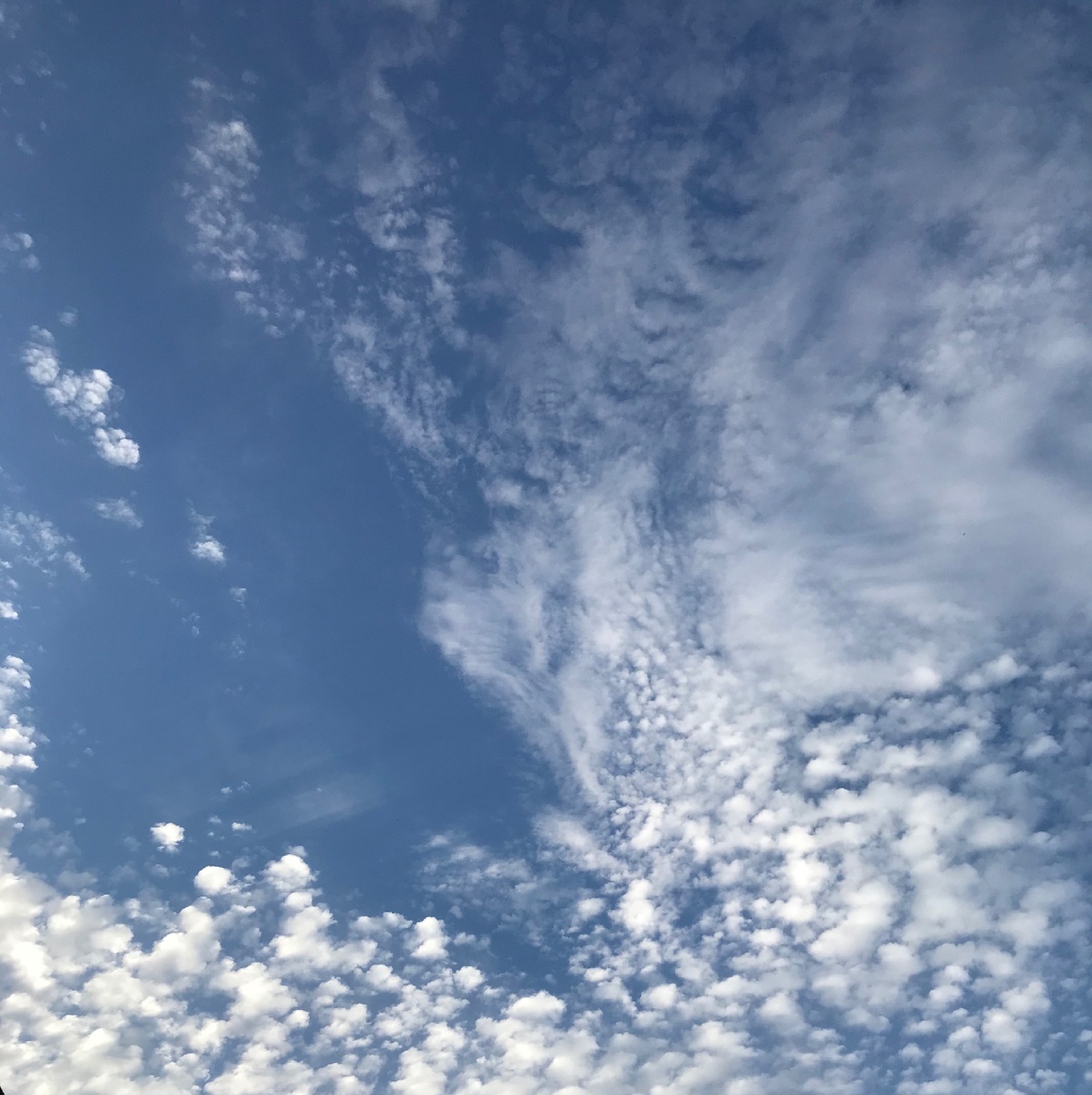 Хотел бы ты дышать свободно ? 