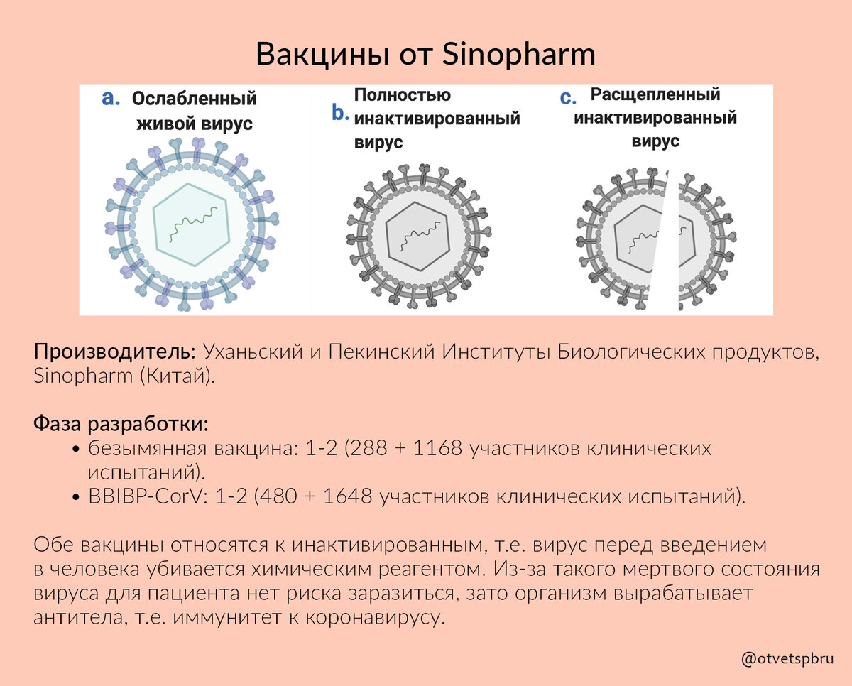 Схема вакцинации от коронавируса