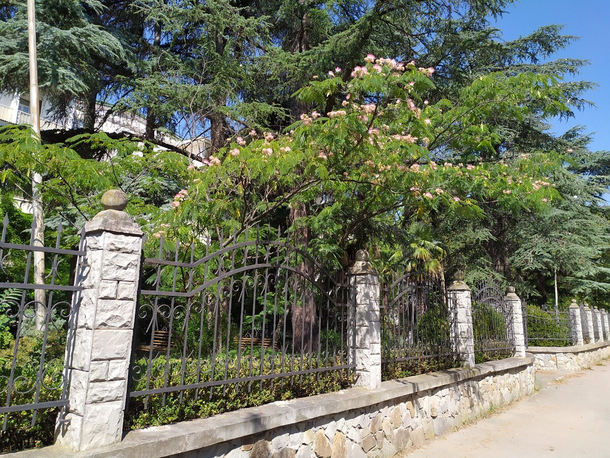 Крым. Ялта. Личное фото автора.