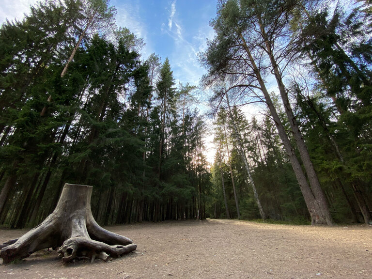 «Поляна сказок»
