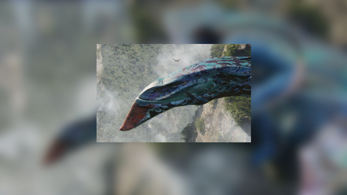 Второй фильм.