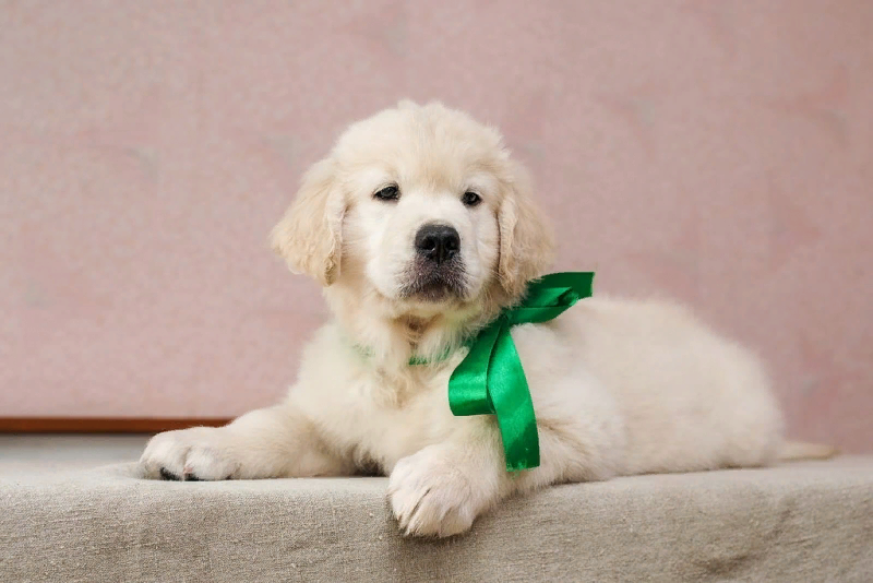 источник: Яндекс Картинки