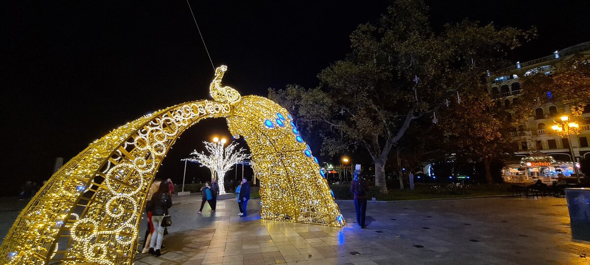 Красивейший павлин