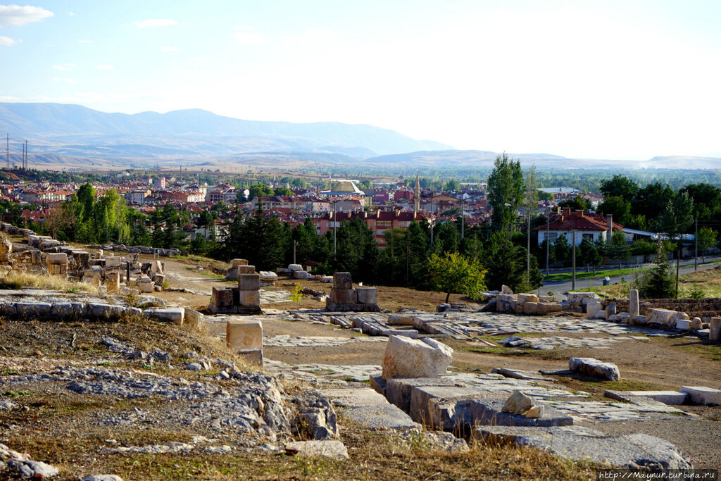 Антиохия сирийская