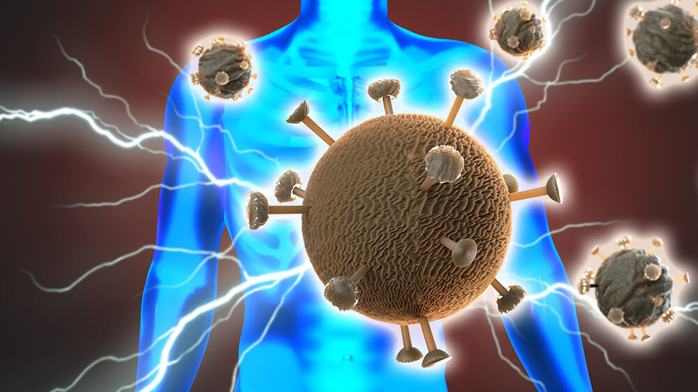 Источник изображения: сервис Яндекс-картинок