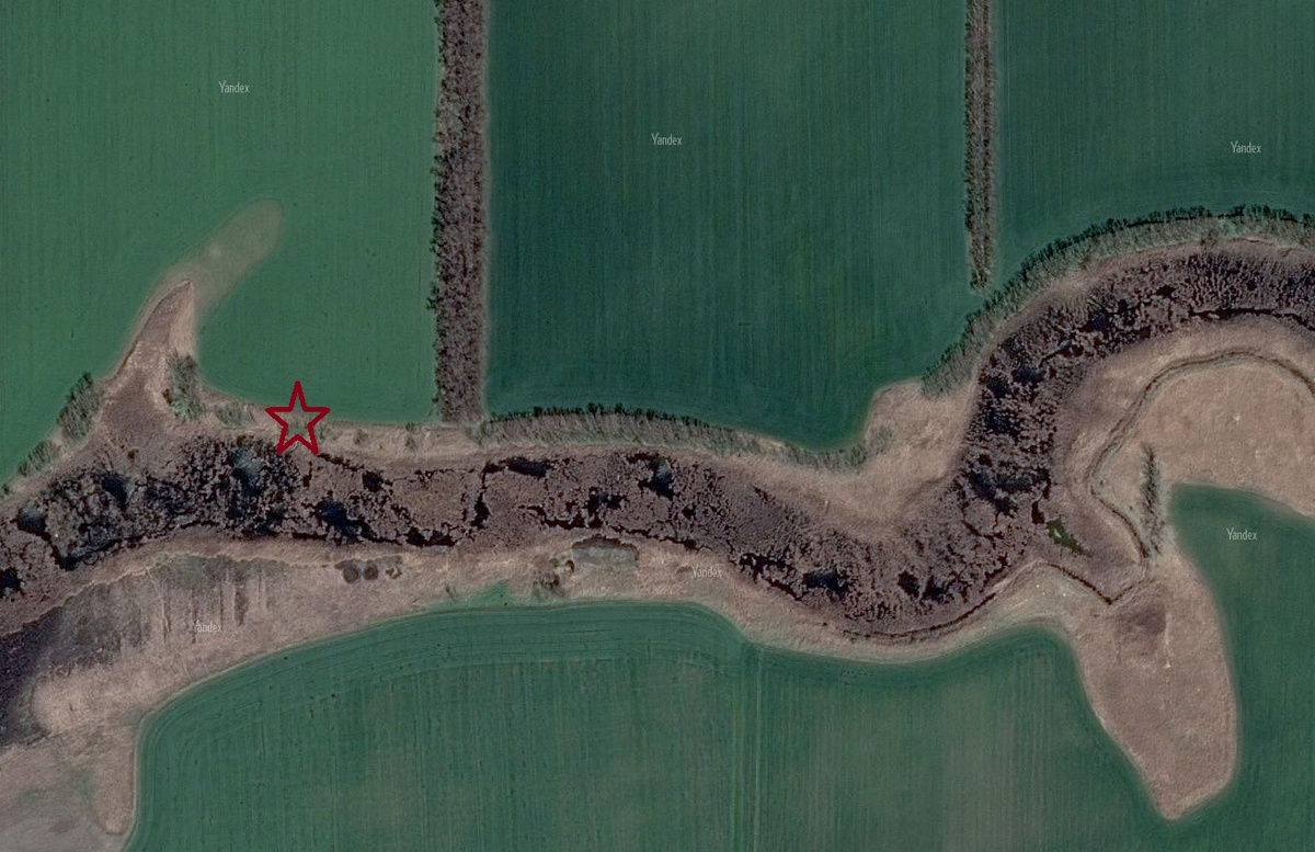 выходы для стрельбы