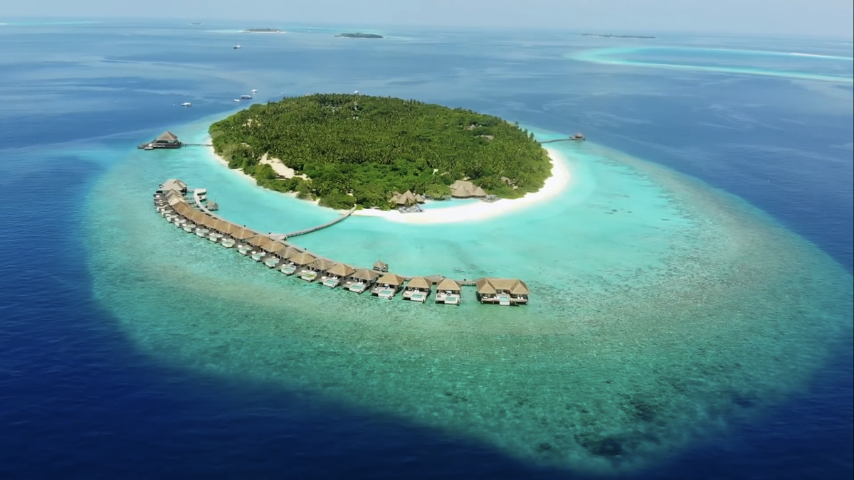 Мой кошелёк долго вспоминал как похудел.