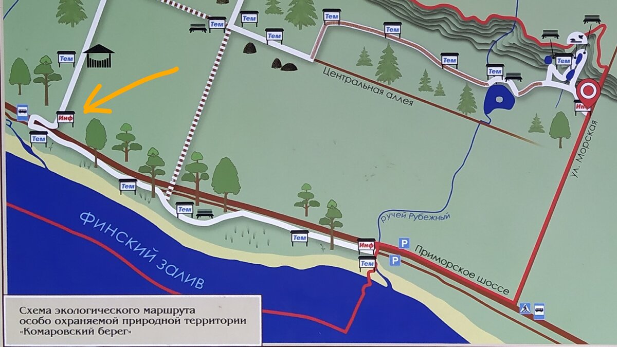 Экотропа комаровский берег карта