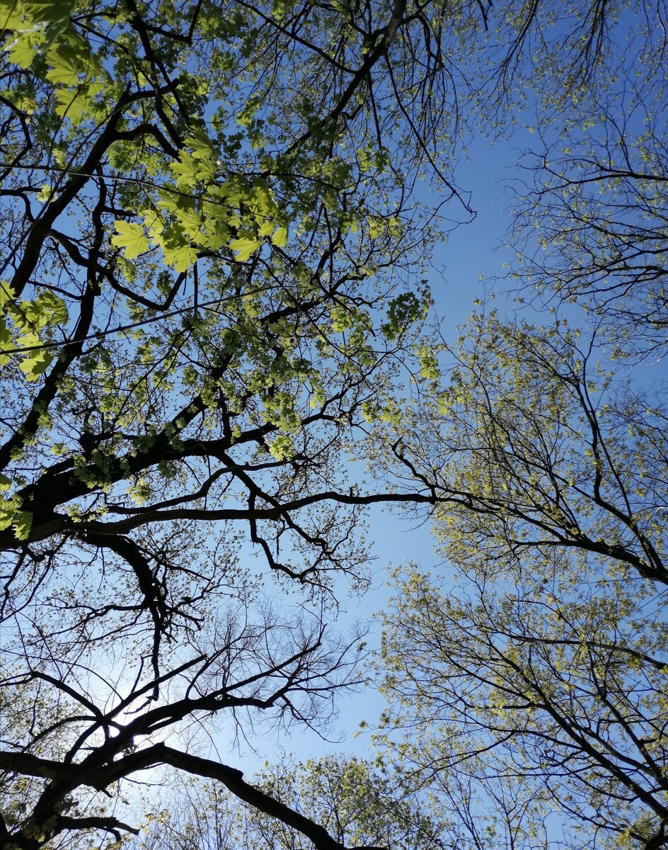 Не модная любовь 