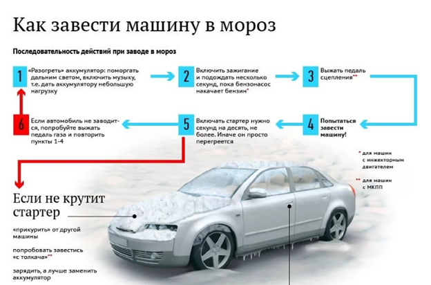 Фото из источника altapress.ru