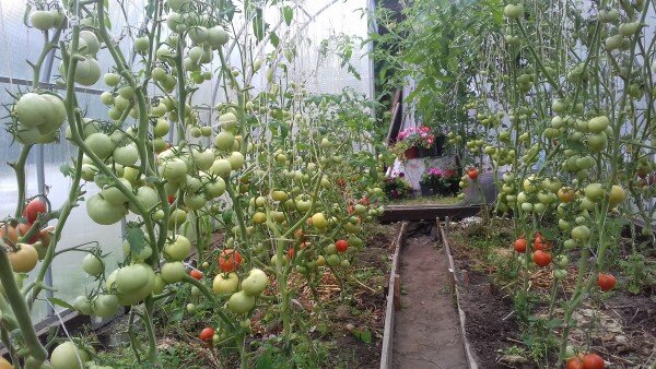 Слева у стены - Берберана, у прохода - Евпатор