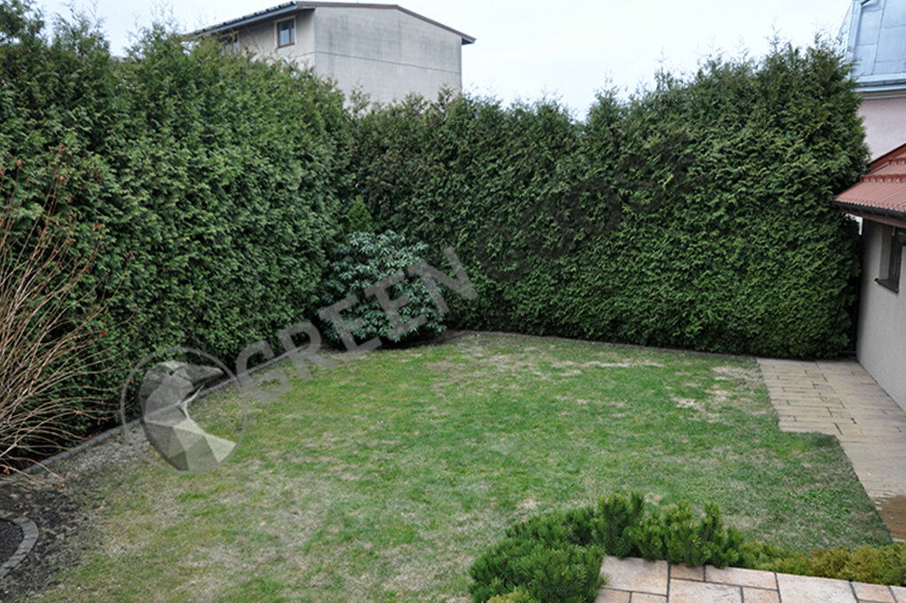  Вид территории участка до начала работ по благоустройству