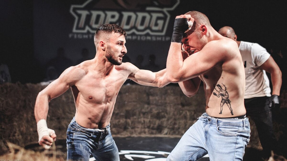 Top Dog Р±РѕРё