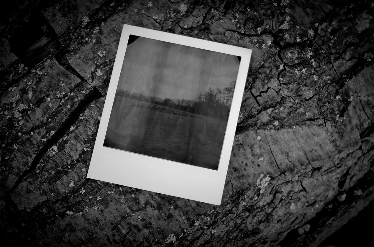 Источник фото Яндекс