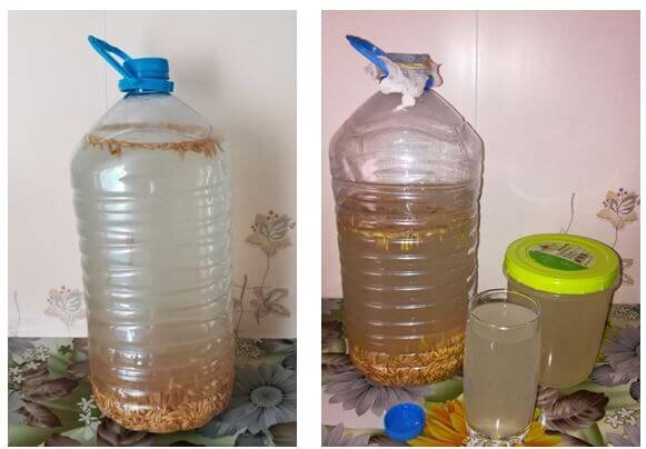 Квас из овса