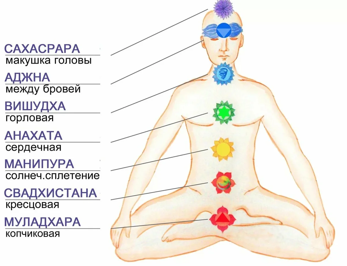 Где находится шестая. Муладхара Манипура Анахата. Чакры человека Манипура. 7 Чакр человека. Чакры Аджна и Сахасрара.