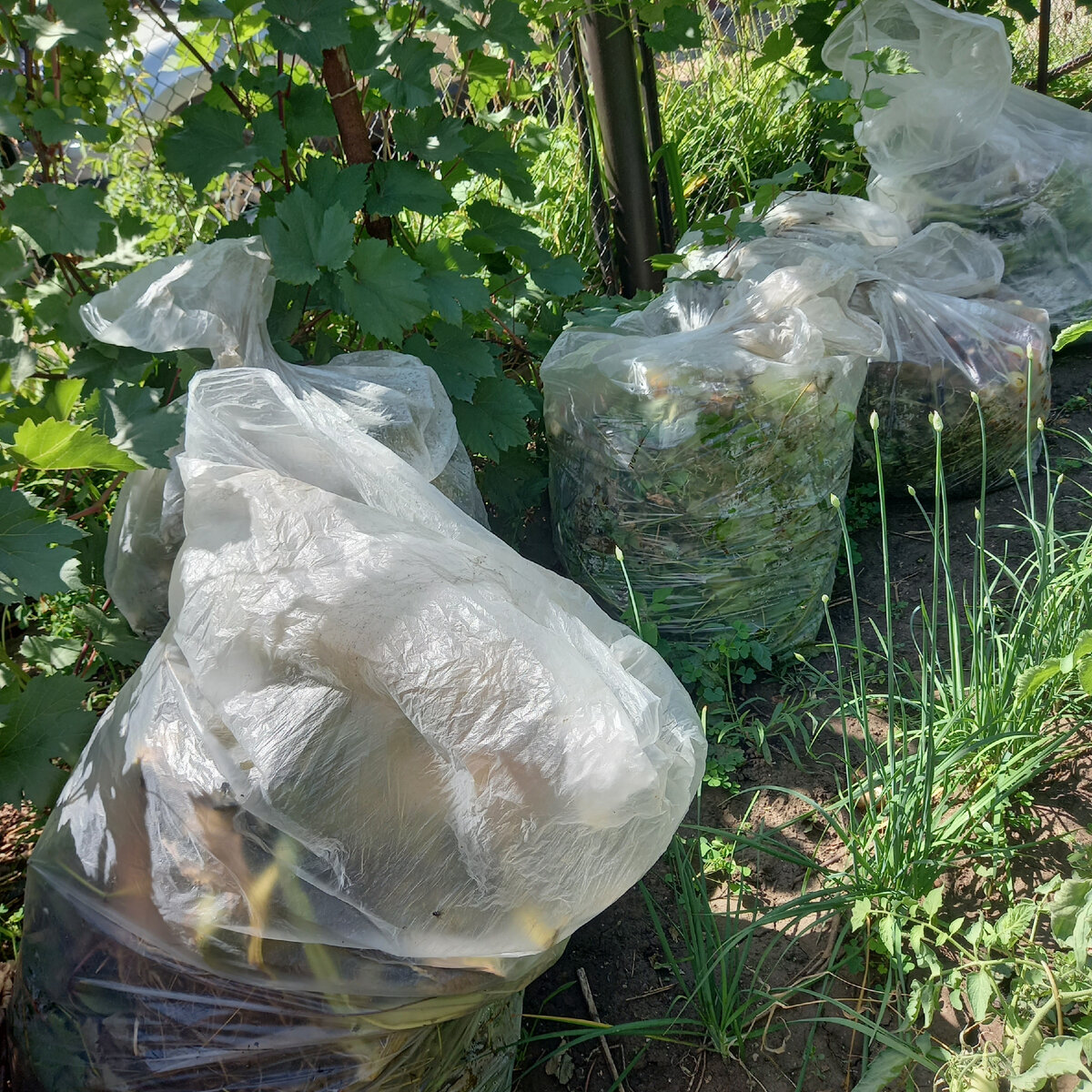 ставлю пакеты там, где удобно, чтобы далеко не ходить
