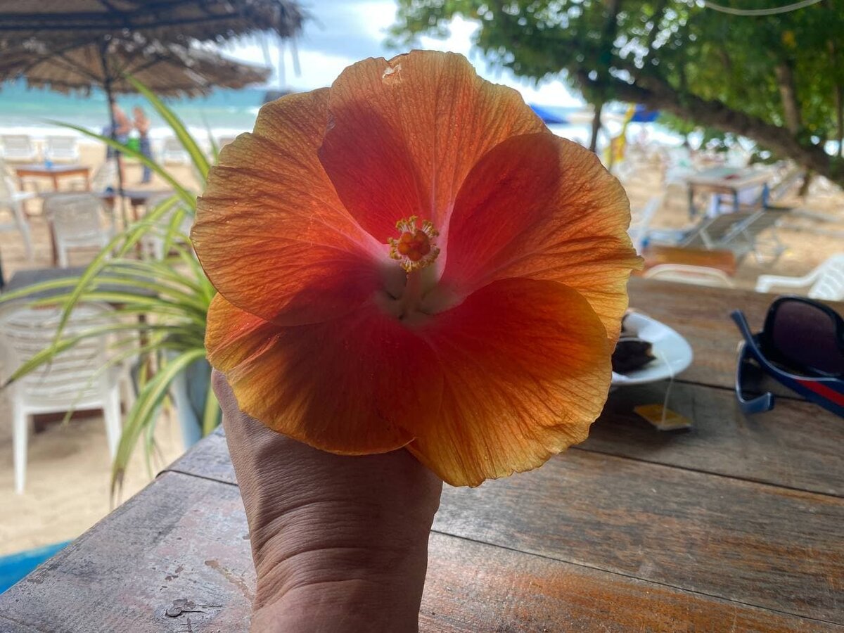 Автор канала: Олеся Фомина