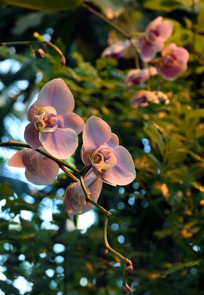 Фото из открытых источников. 