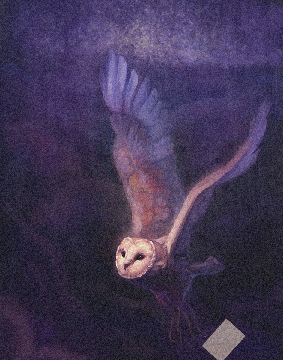 (арт взят из открытых источников) 