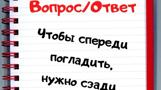 Застольная игра «Вопросы-ответы» для взрослых