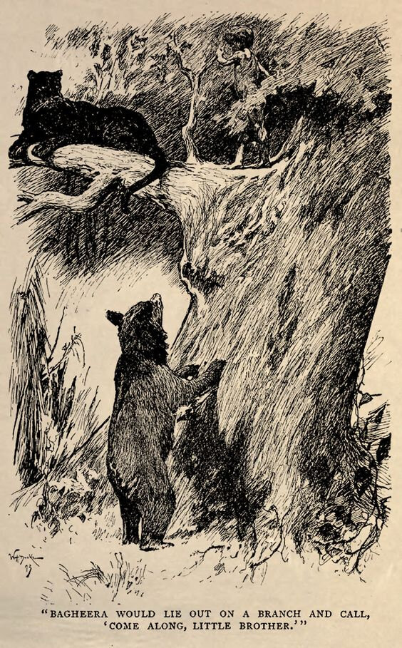 Иллюстрации Джона Киплинга к "Книге джунглей". Изображение из сети Интернет