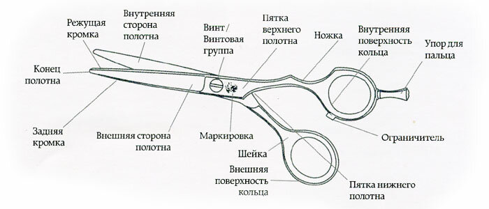 Рис. 1