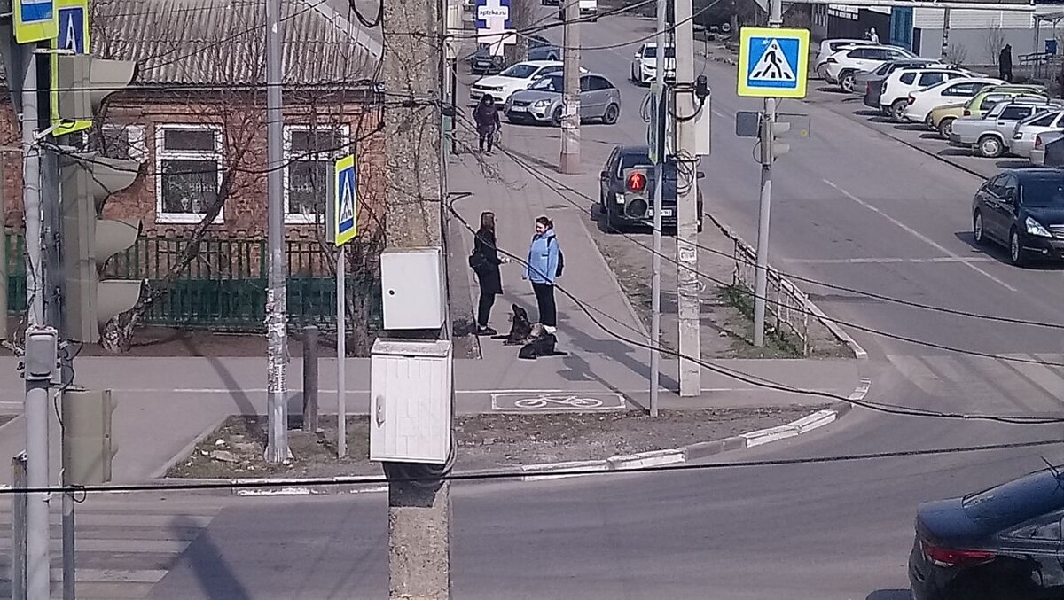 Джек и его компания обрабатывают двуногих