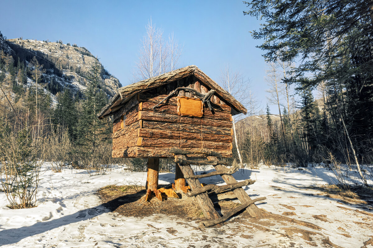 Фото с сайте dreamstime.com