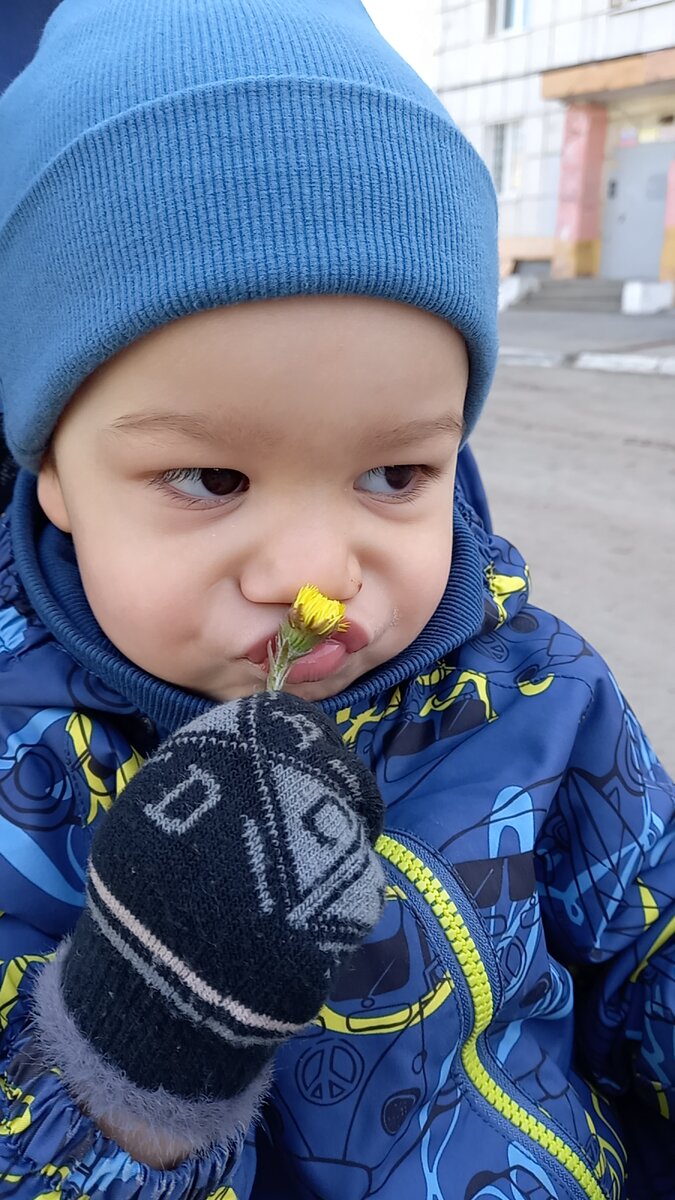 Фото автора. Первые цветочки