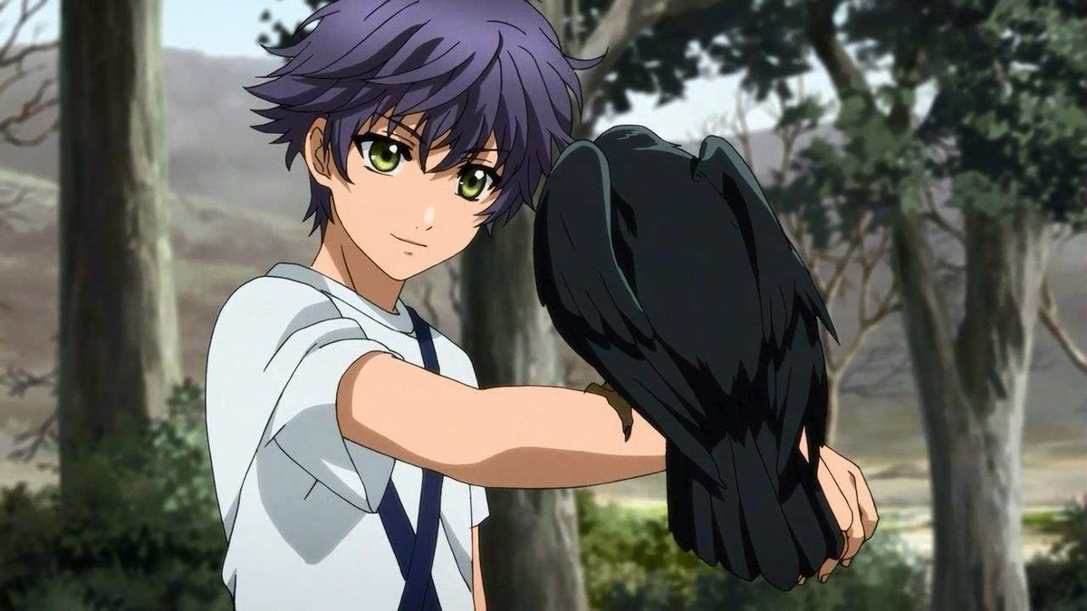 Аниме хаккэндэн легенда о восьми псах востока. Хаккэндэн: легенда о восьми псах востока сериал 2013. Хаккэндэн шино. Хаккэндэн шино. Хаккенден: легенда о восьми псах востока.