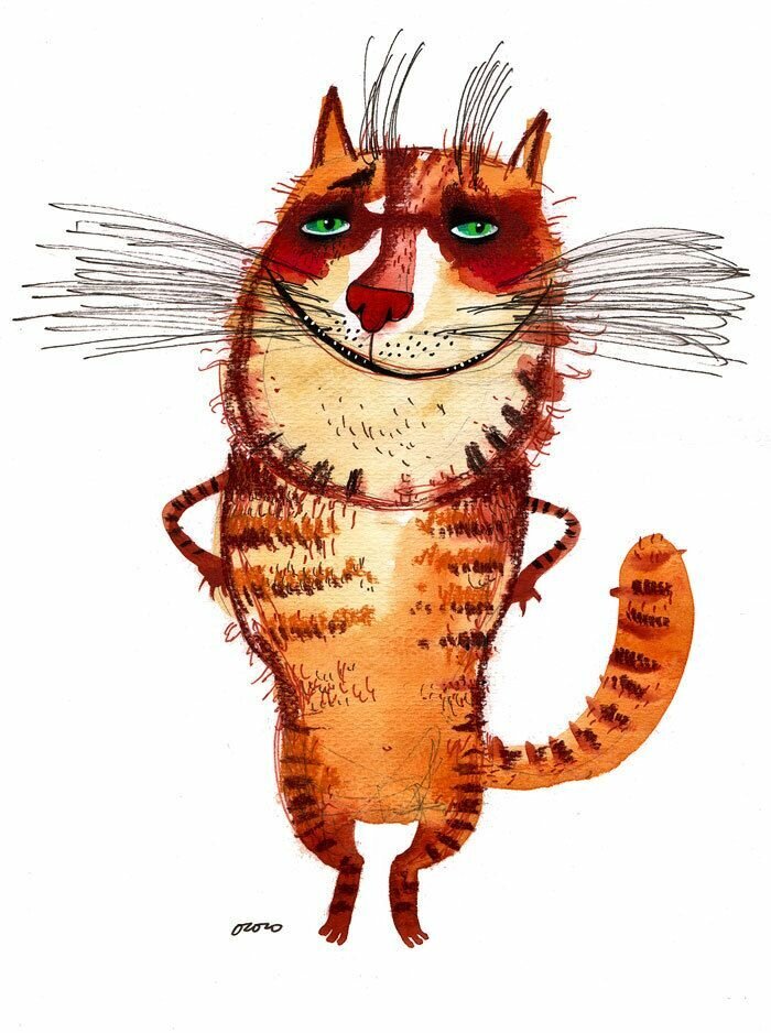 Изображение взято в свободном доступе с просторов интернета. 