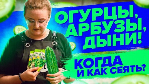 Как сеять ОГУРЦЫ, чтобы рассада не вытягивалась? БЕЗ ПЕРЕВАЛКИ и ПИКИРОВКИ