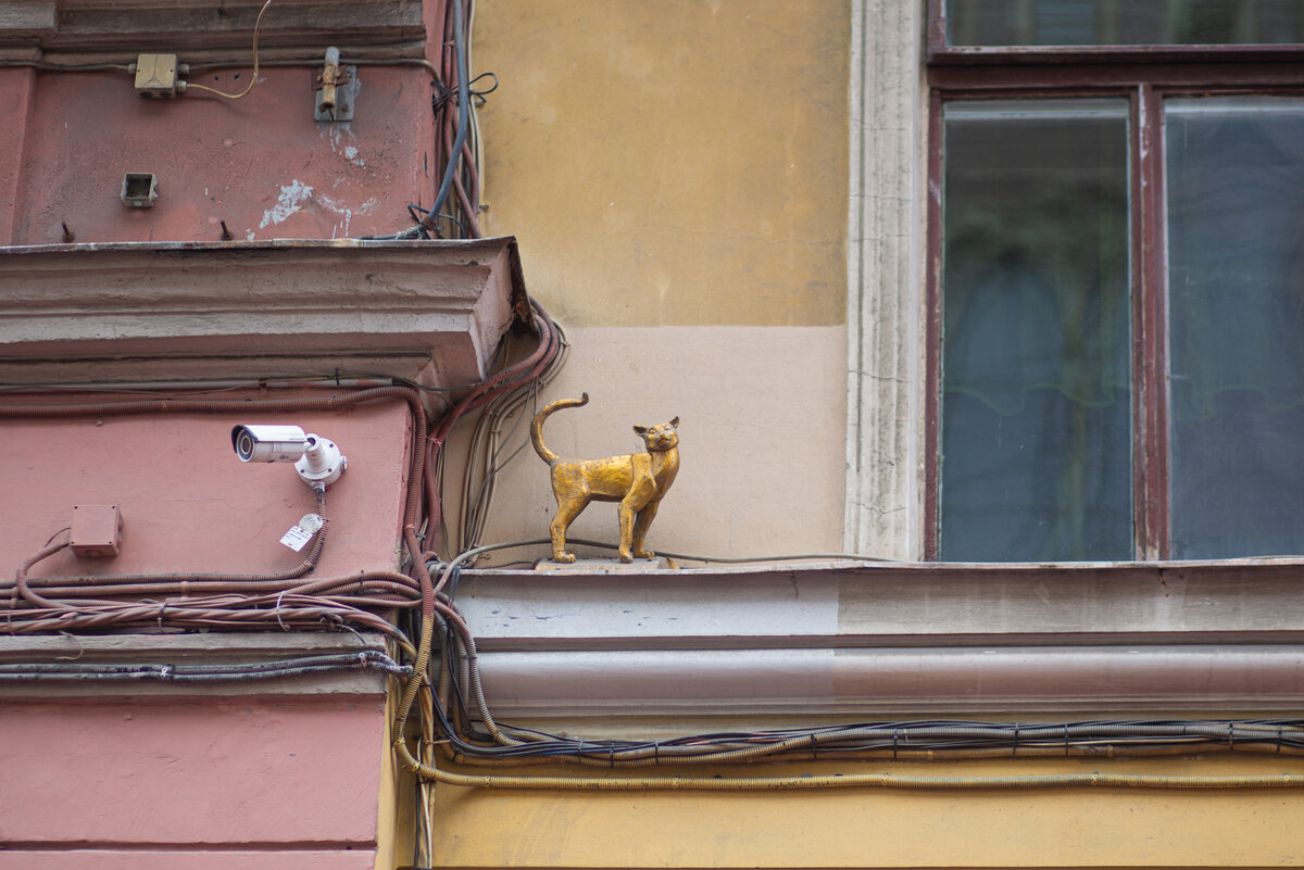 Фото проекта Россия Страна Ученых, фотограф Надежда Панова
