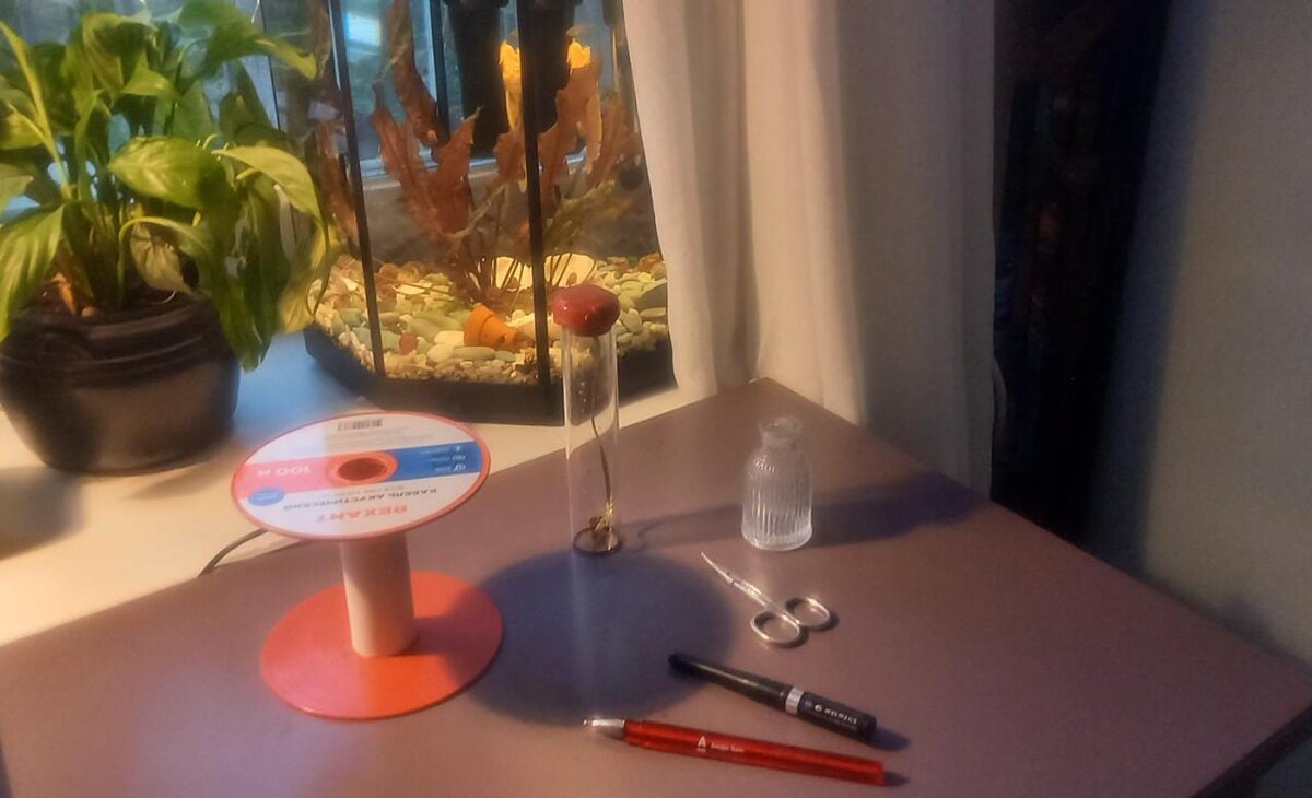 6 предметов