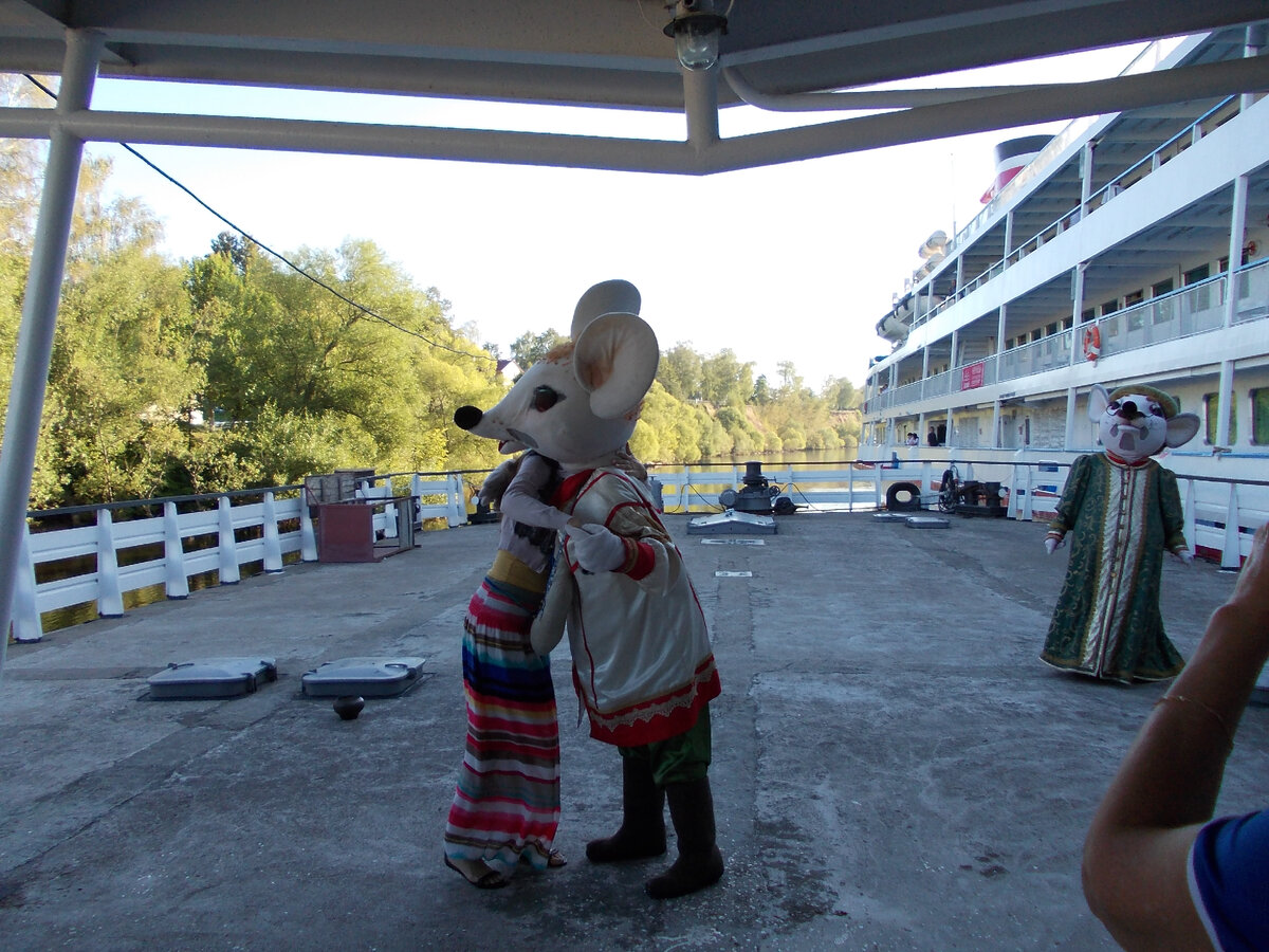 мыши встречают туристов