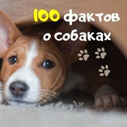 НЕВЕРОЯТНЫЕ ФАКТЫ