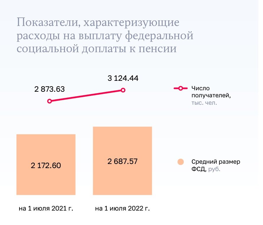 рисунок из оперативного доклада Счетной палаты январь-июнь 2022 г.