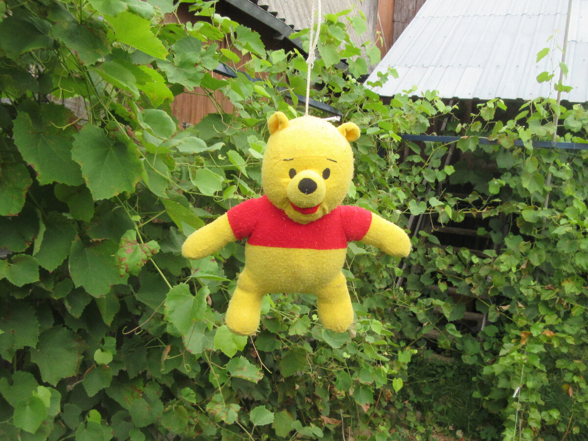 Я птичка, птичка, птичка, а вовсе не медведь....