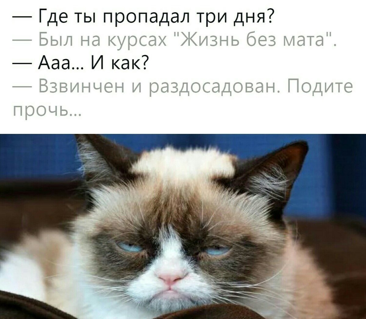 Зачем нам мат?
