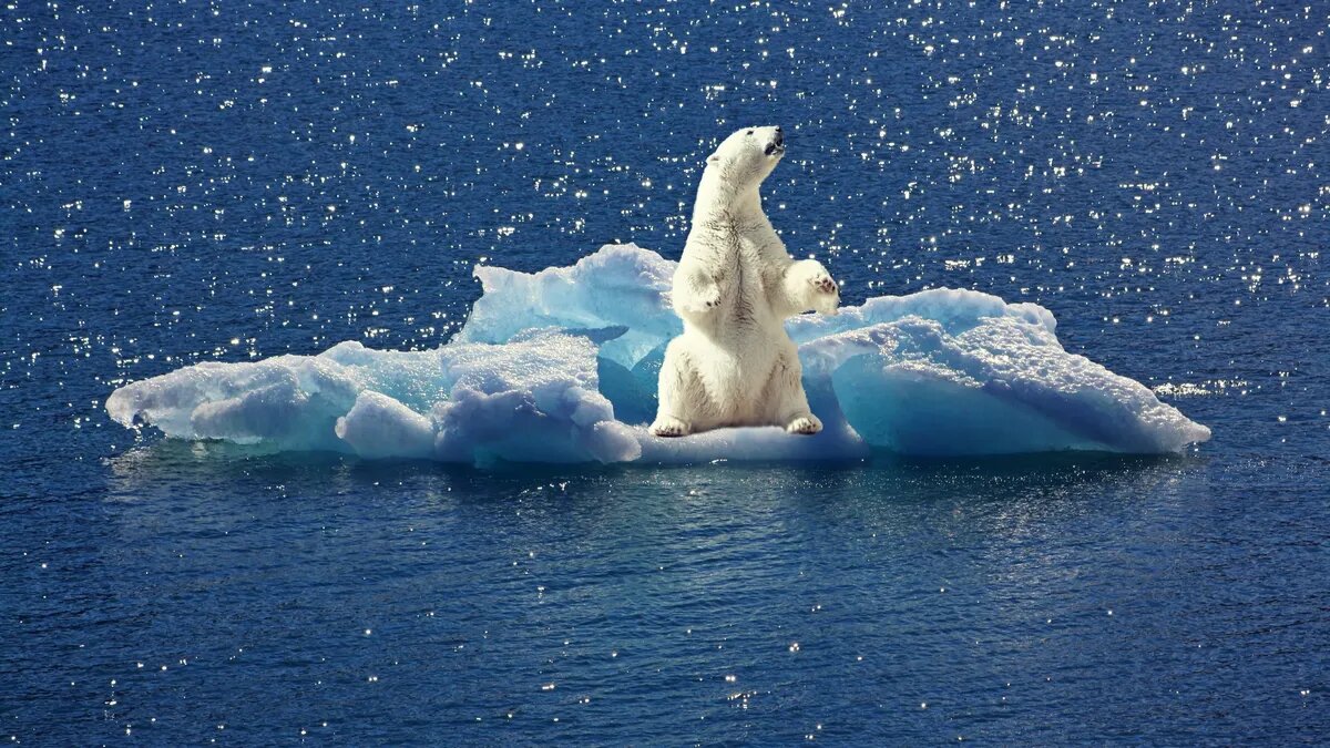 Ежегодно климат меняется на всей планете. Фото: Pxfuel.com