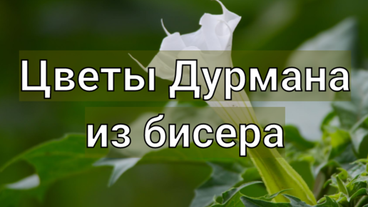 Что можно сделать из бисера своими руками: изделия из бисера с описанием и фото