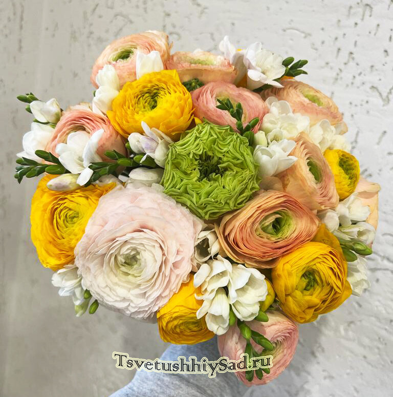 Ранункулюсы с фрезией 